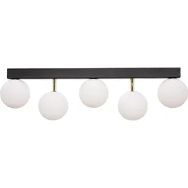 Zuma Line Ali 5 Leuchtmittel rund Schwarz/Gold/Weiß