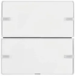 Berker Tastsensor 80142329 2fach Komfort Q.x polarws samt