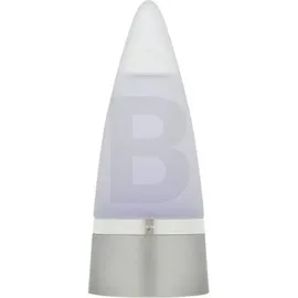 Rochas Man Eau de Toilette 100 ml