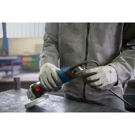 Bosch GWS 17-125 Professional