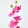 Homescapes KUNSTBLUME Orchidee rosa im Deko-Topf, 48 cm