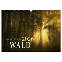 Calvendo Mysterium Wald (Wandkalender 2026 DIN A3 quer), CALVENDO