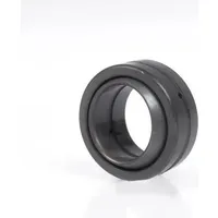 INA Radial-Gelenklager GE140-DO-2RS-A