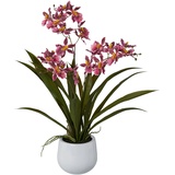 Creativ-green Cambria-Orchidee, im Keramiktopf, 50 cm,