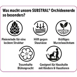 Substral Blumenerde »Orchideen« 6,0 l