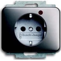 Busch-Jaeger Steckdoseneinsatz 0 m Platin
