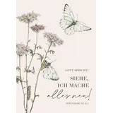 Adeo Verlag Jahreslosung 2026 - Poster A3