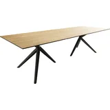 DeLife Esstisch Edge 300x100 Keramik Laminam® Sabbia Eichefarbig Estelar rund Metall Schwarz,