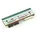 Zebra Technologies Zebra Druckkopf ZT510 300dpi P1083347-006