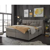 ed-lifestyle polstermöbel Talena Boxspringbett 180 x 200 cm, inkl. Motor, Ausführung:Variante 1, Stoffbezug:Wind 21 stone - H2 - Kaltschaumtopper - 180x200