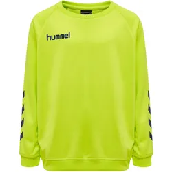 Poly Sweatshirt Raglanärmel Hmlpromo Multisport Kinder HUMMEL Gr. 104 - 4 Jahre