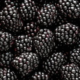 YODEYMA Mia Eau de Parfum 15 ml