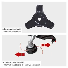SCHEPPACH Benzin-Freischneider Rasenmaher 4-Takt-Motor 31cc Scheppach PBC310-4S