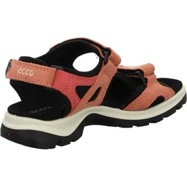 ECCO Offroad Damen burnt coal/spiced coral 41