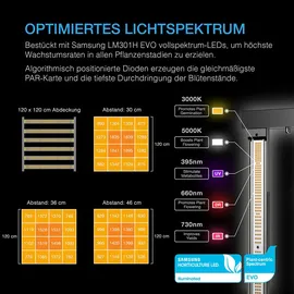 AC Infinity Growbox Komplettset 500W LED 120 x 120 x 200 cm Schwarz