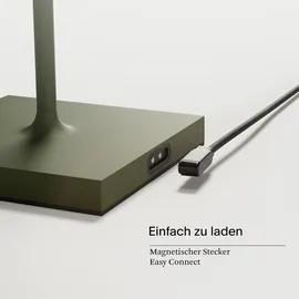 Sigor Nuindie Stehleuchte tannengrün USB-C