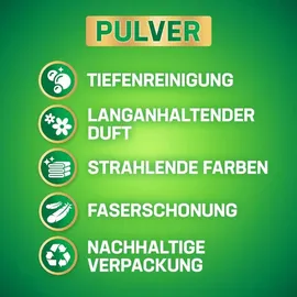 Persil Universal Pulver 100 Waschladungen