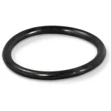 Astralpool O-Ring für Astral, Scheinwerfer