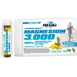 Body World Group BWG Magnesium 3000 Hochdosiert & Vegan, Magnesiumcitrat Liquid 20x 25ml