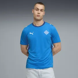 Puma Island Trainingsshirt 2026 blau Herren Gr. XS