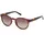 Timberland Sonnenbrille braun