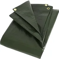 Zill Gewebeplane 6 x 10 m grün 280g|m2 Typ