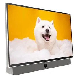 Metz 24MPE7000Z 24" LED Full HD Smart TV