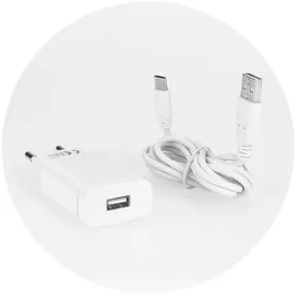 forcell Netzladegerät mit USB Stecker Typ-C-2,4A Quick Charge 3.0 Funktion Schutzsystem gegen Überhitzung und Stromstöße