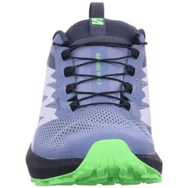 Salomon Sense Ride Herren Flint Stone/Black/Green Gecko 42
