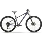 R Raymon Nayta Comp 2026 29 Zoll RH 165-173 cm smoke lavender/black