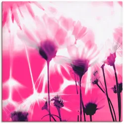 Leinwandbild ARTLAND "Pusteblume abstrakt", pink (farbe bild(er): pink), B:70cm H:70cm T:1,8cm, Canvas, Leinwand, Bilder, auf Keilrahmen gespannt