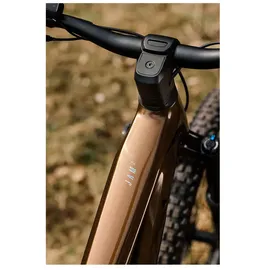 Focus JAM2 6.8 2025 29 Zoll RH L Unisex Goldbrown/ Diamondblack