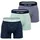 Happy Shorts Trunk Jersey Palms/hellgrün/grau XL 3er Pack