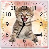 Bilder-Manufaktur BM wahlweise Funkwanduhr ODER Quarzwanduhr Funkwanduhren Funkuhr Wanduhr Funk ODER Quarz kein Ticken lautlos geräuschlos leise modern ohne Tickgeräusche MF11-9324-funk