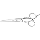 Jaguar Silver Line Xena 6,0