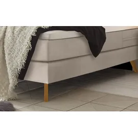 Hasena Boxspringbett 140-180 cm Braun / beige Liegefläche:160 x 200 cm, Topper:Base-Topper