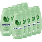 Schauma Schwarzkopf Shampoo 7 Kräuter (10x 400 ml), Haarshampoo verleiht der Haarstruktur eine leichte Frische, Frische-Shampoo für normales bis schnell fettendes Haar