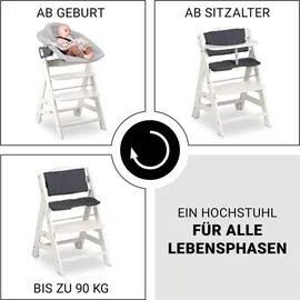 hauck Beta Plus Set (Hochstuhl)