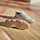 adidas Stabil 16 Indoor Schuh - Off White / Gold Metallic / Crystal Sand, 45 1/3
