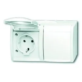 Busch-Jaeger Ocean SCHUKO Steckdose 2-fach, alpinweiß 20/2 EW-54
