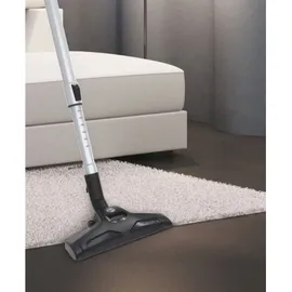 Hoover Telios Extra TXL20PET grau