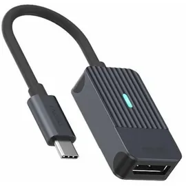 Rapoo USB-C Adapter grau USB-C auf DisplayPort
