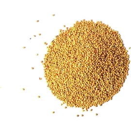 dtp-soft Gelb-Weiß-Hirse, loses Vogelfutter, Körnerfutter, Kanarienvogel, Wellensittich (20 kg)