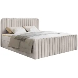 Selsey Saliano - Boxspringbett 160x200 mit Bettkasten, Topper und Samtbezug, Beige