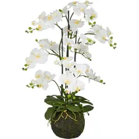 Creativ green Kunstorchidee »Orchidee Phalaenopsis«, mit künstlichem Erdballen weiß
