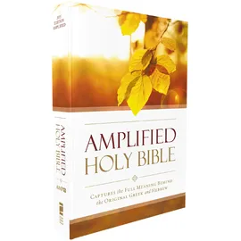 Knv Besorgung Amplified Outreach Bible, Paperback