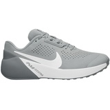Nike Air Zoom TR 1 Workout-Schuh für Herren - Grau, 44.5