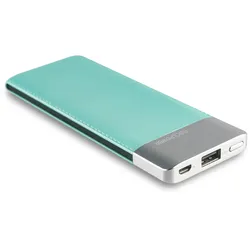 Ultron Realpower PB-5500 Fashion - Powerbank - 5500 mAh - 2 A (USB)