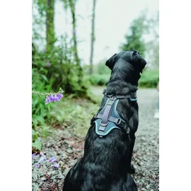Hunter Maldon Up Hundegeschirr Petrol/Grau S-M