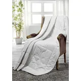 Dreams Naturfaserbettdecke »Classic«, beige (creme), B:155cm L:220cm, Bezug: 100% Baumwolle, Füllung: 100% Seide, Bettdecken, guter Feuchtigkeitstransport, ideal für die warmen Monate